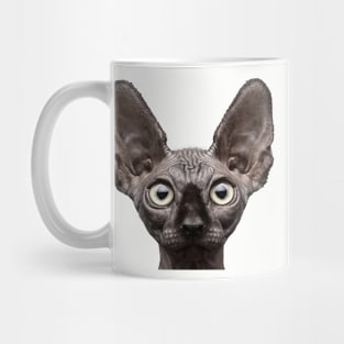 beautifull shaved cat Mug